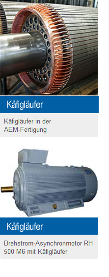 Käfigläufer