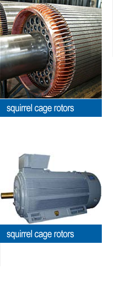 squirrel cage rotors